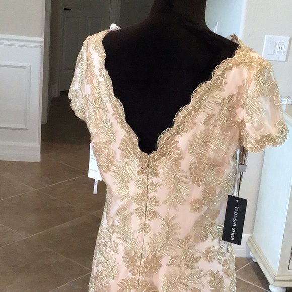 Tadashi Shoji gown, gold lace over blush shell, back zip, v back, size 14, NWT - Picture 7 of 12